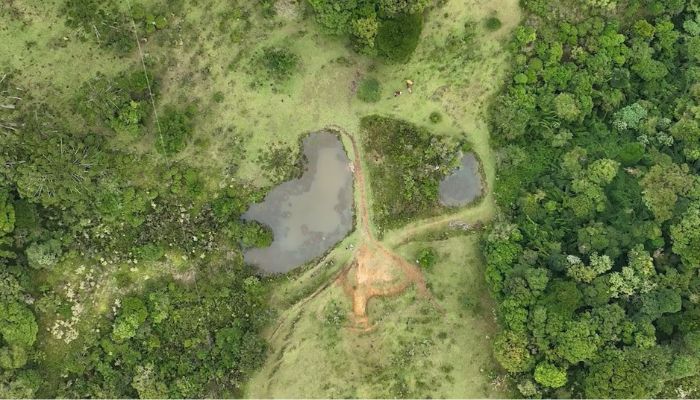 Foto: Ricardo Ribeiro/AEN Paraná tem projeto de proteção de microbacias no campo para garantir segurança hídrica